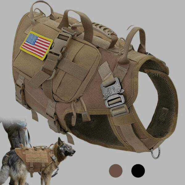 Tactical dog vest with easy-to-use handles, green color, background picture of a dog.