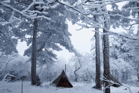 Snow-covered campsite with a tent surrounded by trees in a winter forest.