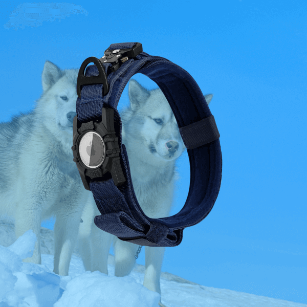 Tactical dog tracking collar with AirTag fixing sleeve in black nylon, perfect for medium-sized dogs, shown with two huskies in a snowy background.