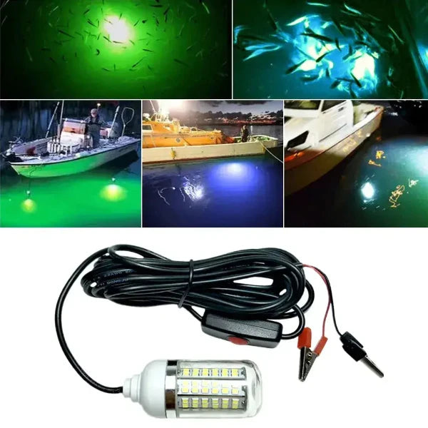 12V LED underwater fishing light attracting fish, ideal for boats and night fishing with durable construction and various light colors.