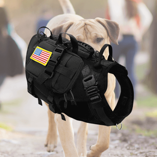 Black dog harness with American flag attached with scotch tape, background picture of a dog.